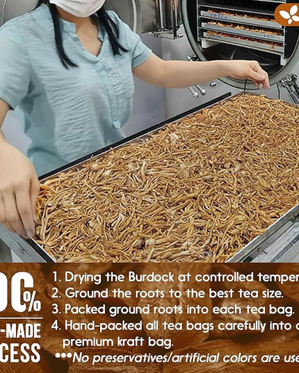 FreshDrinkUS, Premium 120 Burdock Root Tea Bags, 100% Natural & Pure, Herbal Tea. Made with Natural Material Tea Bags. No Sugar, No Caffeine, No Gluten, Vegan.