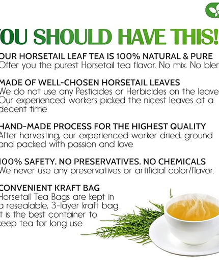 FreshDrinkUS, Premium 120 Horsetail Leaf Tea Bags, 100% Natural & Pure from Horsetail Loose Leaves Herbal Tea. Made with Natural Material Tea Bags. No Sugar, No Caffeine, No Gluten, Vegan.