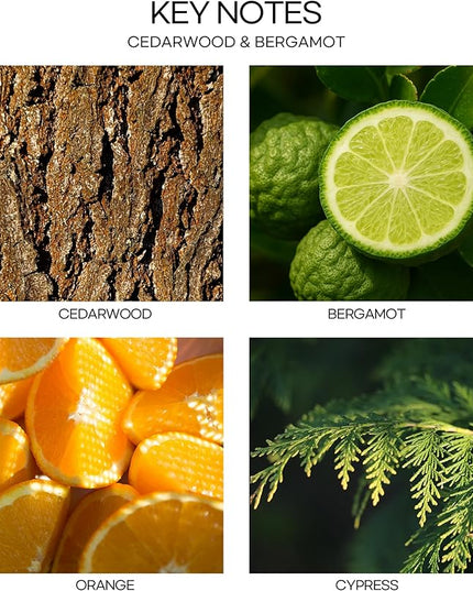 CULTURE & NATURE Pure Grade Essential Oil Diffuser (Cedarwood & Bergamot)
