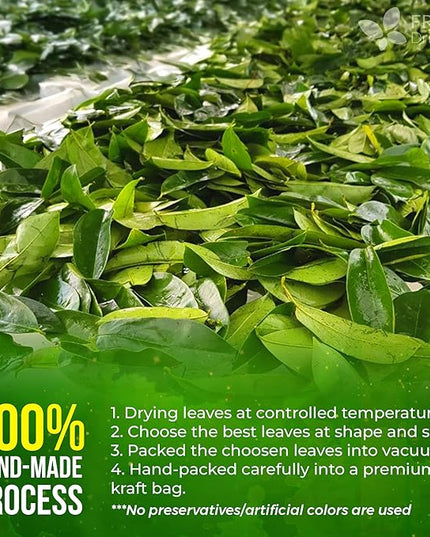 FreshDrinkUS, Premium 30+ Soursop Graviola Dried Leaves, Natural Whole Soursop Leaves, Wildcrafted, Hoja Guanabana, Loose Leaf Herbal Tea, No Gluten, Vegan