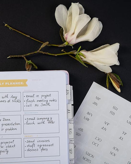 DiverseBee Laminated Planner: 24 Peel and Stick Tabs (12 Monthly, 4 Blank), Sand Color Dividers