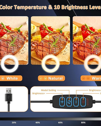 Portable Travel Ring Light for Laptop Zoom Video Conference, 5'' Bright Circle Light with Extendable Stand, Small Halo Lighting with Phone Holder for Video Recording Live Stream Facetime Photography