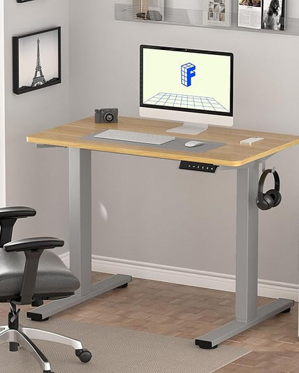FLEXISPOT EN1 One-Piece Adjustable Desk 40 x 24 Inches Stand Up Desk Electric Height Adjustable Standing Desk with Seamless Desktop (Silver Frame + 40 inches Natural Top, 2 Packages)