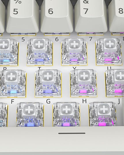 Kailh Box White Mechanical Keyboard Switches,3-Pin 45gf Clicky/Speed Typing/Gaming/Waterproof Switches(90Pcs,Kailh Box White)