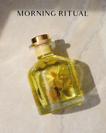 Benevolence LA Morning Ritual Reed Diffuser | Bergamot & Jasmine | Home Fragrance Diffuser for Bathroom | Long-Lasting Scent Sticks | Sun-Kissed Collection