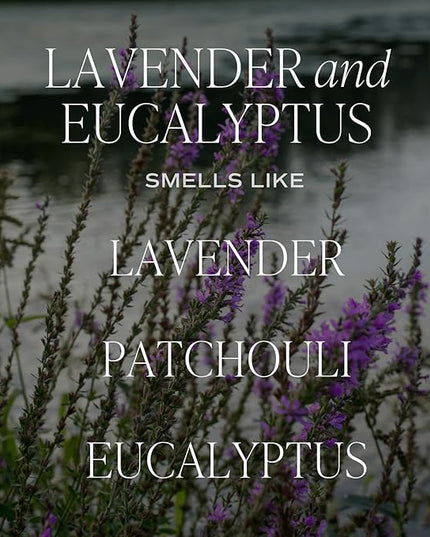 Sweet Water Decor Lavender and Eucalyptus Reed Diffuser – Room Decor Aesthetic with Long-Lasting Premium Fragrance of Lavender, Patchouli, and Eucalyptus for 4 Months – Ideal for Home Decor
