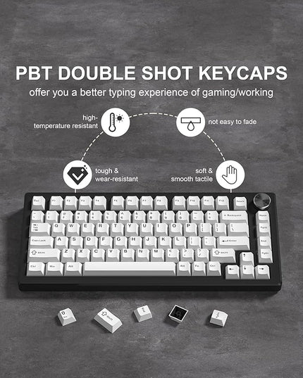 Womier Double Shot PBT Keycaps Set 138 Keys, Cherry Profile Custom Keycaps 60 65 75 100 Percent for 61/64/68/84/87/100/104/108 Retro Gaming Mechanical Keyboard, White