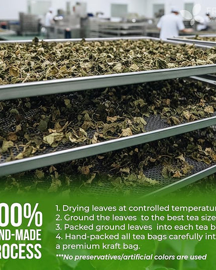 FreshDrinkUS, Premium Gotu Kola Leaves (Centella asiatica) | 8 oz Dried Loose Leaf | Naturally Mild & Earthy Herbal Tea – Premium Quality Leaves. Sugar-Free. Caffeine-Free. Vegan