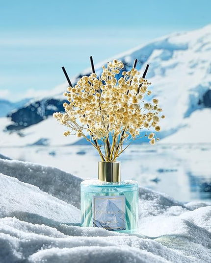 COCORRÍNA Reed Diffuser - Antarctic 6.7 Fl.oz Reed Diffuser Set with 8 Sticks & Preserved Baby's Breath, Reed Diffuser for Home Bathroom Shelf Decor