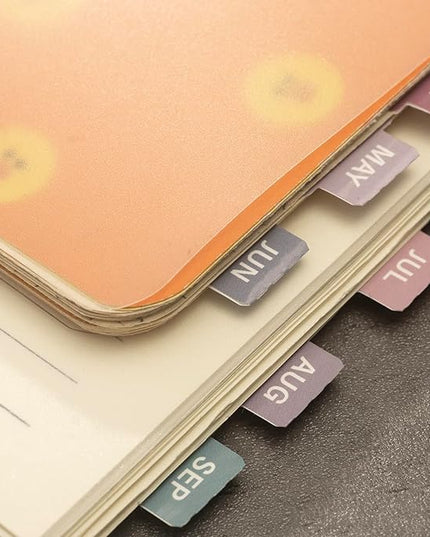 Lumintutu Laminated Planner Monthly Stickers,40 Adhesive Plan Tabs for Notebooks (2 Sets 12 Month Tabs and 24 Blank Tabs), Calendar Monthly Divider Set (Small Purple & Pink)