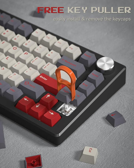 Womier Double Shot PBT Keycaps Set 138 Keys, Cherry Profile Custom Keycaps 60 65 75 100 Percent for 61/64/68/84/87/100/104/108 Retro Gaming Mechanical Keyboard, Purple Gray