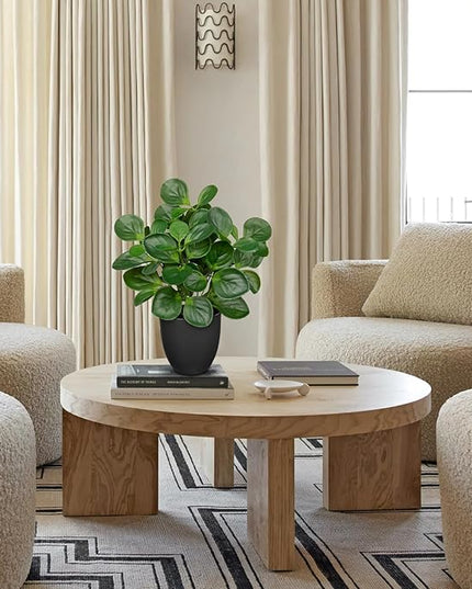 Villa Como 14.5" Artificial Plants Indoor Home Decor, Fake Potted Silk Plants for Shelves Living Room Decorative, Small Artificial Office Desk Plants in Pots, Faux Peperomia Hope Tropical House Plant