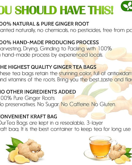 FreshDrinkUS, 150 Premium Ginger Tea Bags, Non GMO, 100% Natural & Pure from Ginger Root, Root Herbal Tea. No Sugar, No Caffeine, No Gluten, Vegan. Support Stronger Digestion, Pleasantly Spicy & Warming