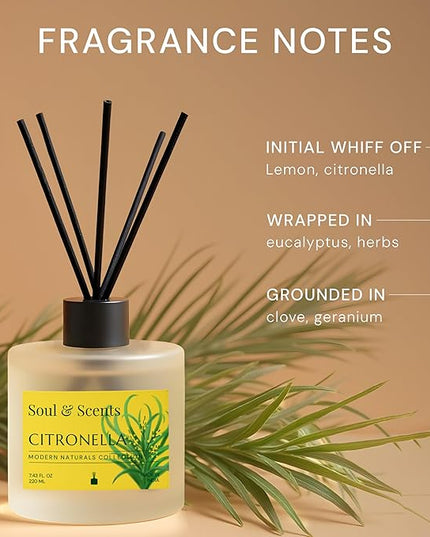 Soul & Scents Reed Diffuser Set – Citronella | 7.43 oz Refillable Scented Oil with 6 Fiber Sticks | Long-Lasting Home Fragrance & Air Freshener for Bedroom, Bathroom, Office | Gift & Décor Piece
