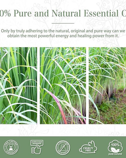 Lemongrass Essential Oil 1.01fl.oz/30ml, PHATOIL Lemongrass Oils Long Lasting Scents for Aromatherapy, Diffuser, DIY Soap and Candle Making