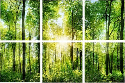 YPY Sound Proofing Panels for Walls Morning sunrise forest green trees: 6 Pack 72×48 Inches Decorative Art Acoustic Panel Sound Dampening Panels Absorbing Treatment