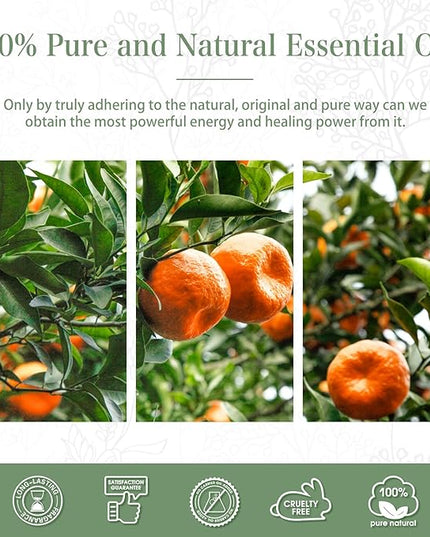 PHATOIL 3.38FL.OZ Tangerine Essential Oil, for Aromatherapy Diffusers, Humidifiers, Great for DIY Candle and Soap Making, Huge 100ML Bottle