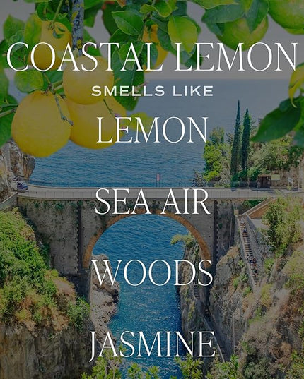 Sweet Water Decor Coastal Lemon Clear Reed Diffuser – Room Decor Aesthetic with Long-Lasting Premium Fragrance of Lemon, Sea Salt, Jasmine & Driftwood for 4 Months – Ideal for Home Décor