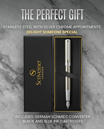 Scriveiner Stainless Steel Fountain Pen - Stunning Luxury Pen with Steel Finish, Schmidt Steel Nib (Fine), Best Pen Gift Set for Men & Women, Professional, Executive Office, Nice Designer Pens