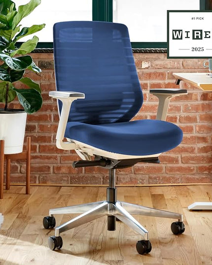 Branch Ergonomic Chair - A Versatile Desk Chair with Adjustable Lumbar Support, Breathable Mesh Backrest, and Smooth Wheels - Experience Optimal Comfort and Support - Baltic