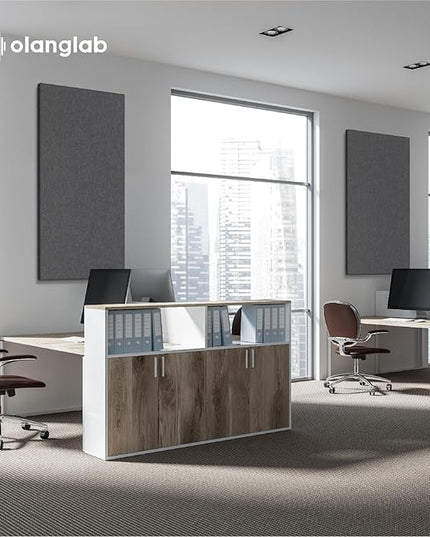 Olanglab Acoustic Panels 2 Pack, 48''x24'' Large Sound Panels, Fabric Wrapped Sound Proof Foam Panels for Walls, Sound Absorbing Panels for Recording Studio Acoustical Treatments (Dark Gray)