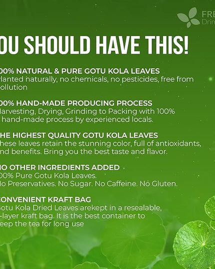 FreshDrinkUS, Premium Gotu Kola Leaves (Centella asiatica) | 8 oz Dried Loose Leaf | Naturally Mild & Earthy Herbal Tea – Premium Quality Leaves. Sugar-Free. Caffeine-Free. Vegan