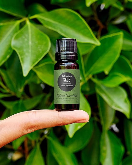 Edens Garden Sage- Dalmation Essential Oil- 100% Pure Premium Grade, Undiluted, Natural, Therapeutic, Aromatherapy, The Best for Diffuser, Candle, Laundry, Humidifiers 30 ml (1 fl oz)
