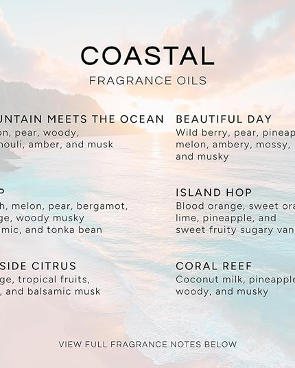 Eternal Essence Oils Coastal Set of 6 Premium Fragrance Oils - Includes Mountain Meets Ocean, Seaside Citrus, Island Hop, Kelp, Beautiful Day, and Coral Reef Scented Oils - 10ML