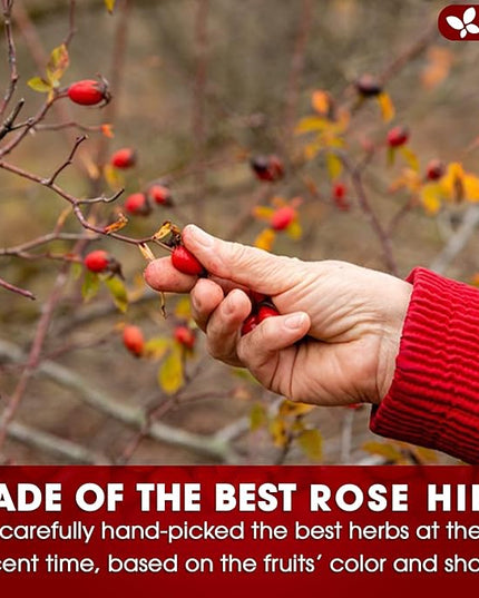 FreshDrinkUS, Premium 135 Rosehip Tea Bags, 100% Natural & Pure from Rose Hip Fruits. Loose Rosehip Herbal Tea. Made with Natural Material Tea Bags. No Sugar, No Caffeine, No Gluten, Vegan.