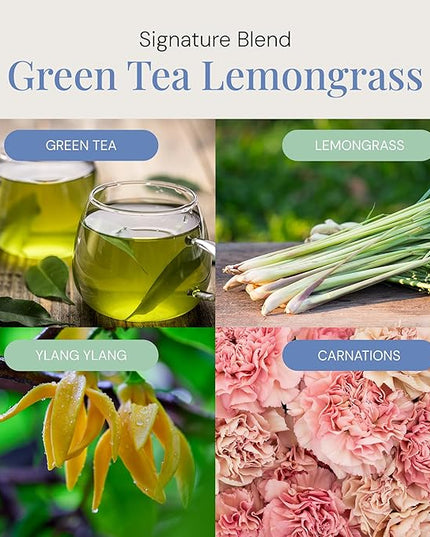 Green Tea & Lemongrass Aroma Oil, Essential Oils Blend for Diffusers & Scent Machines, Blend of Lemongrass & Leafy Greens, Aromatherapy, Cold Air Diffuser Compatible, 100 mL