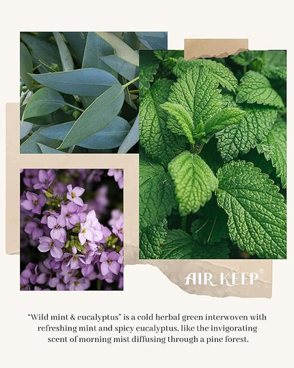 Airkeep Flower Reed Diffusers Set, 5.07 oz Wild Mint&Eucalyptus Scented Oil Diffuser with 8 Reed Sticks, Home Fragrance Diffuser Gift Set for Bathroom & Office Decor 150ml