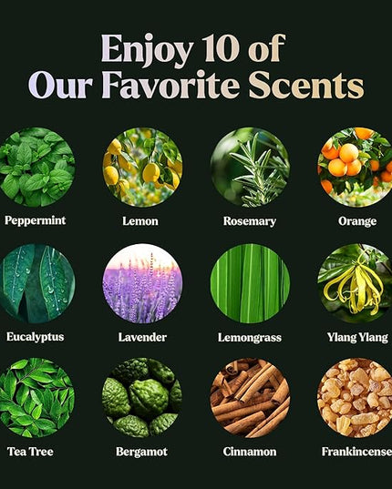Lagunamoon Essential Oils Set - 12 Piece Premium Grade Home Essentials Oils - for Diffusers, Fragrance, Scents for Candle Making - Natural Aromatherapy Oils for Cars & Home Products, Room Sprays