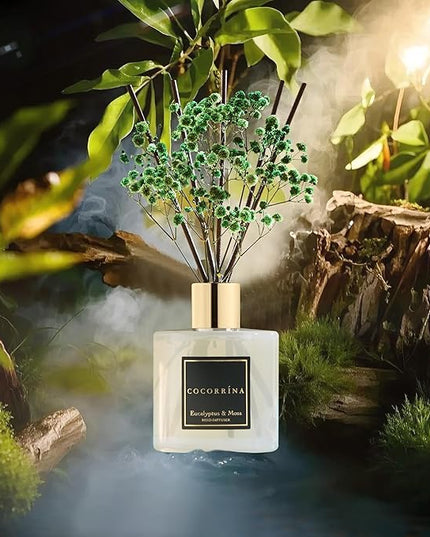 Cocorrína Reed Diffuser Sets- Eucalyptus & Moss Scented Diffuser with Sticks Home Fragrance Reed Diffuser for Bathroom Shelf Decor