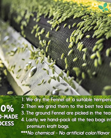 FreshDrinkUS, Premium 135 Fennel Tea Bags, 100% Natural & Pure from Fennel Seeds. Made with Natural Material Tea Bags. No Sugar, No Caffeine, No Gluten, Vegan.