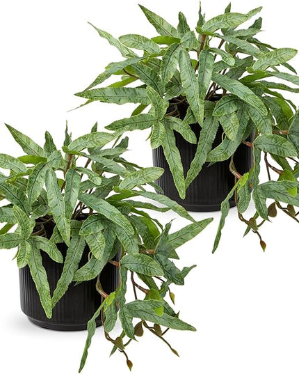 Briful Faux Plants Indoor 9'' Artificial Potted House Plant with Black Ceramic Pot Fake Pteris Cretica Fern Plant for Home Office Room Desk Shelf Decor Indoor(2PACK)