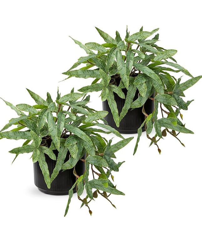 Briful Faux Plants Indoor 9'' Artificial Potted House Plant with Black Ceramic Pot Fake Pteris Cretica Fern Plant for Home Office Room Desk Shelf Decor Indoor(2PACK)
