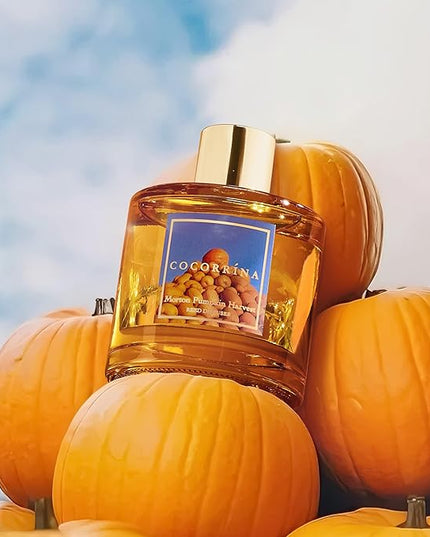 COCORRÍNA Reed Diffuser - Morton Pumpkin Harvest Reed Diffuser Set with 8 Sticks & Preserved Baby's Breath, Reed Diffuser for Home Bathroom Shelf Decor