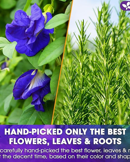 FreshDrinkUS, Clarity Calm Butterfly Pea Flower Tea – 60 Tea Bags Herbal Blend of Butterfly Pea Flower, Rosemary, Moringa, Lemongrass & Licorice Root – Caffeine-Free. Sugar-Free. Gluten-Free. Vegan