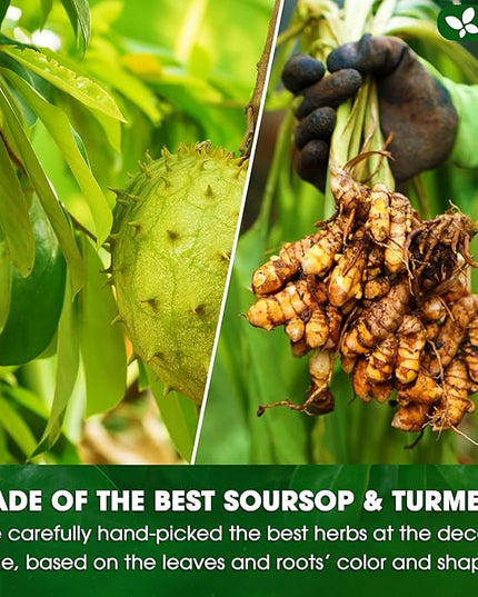 FreshDrinkUS, Premium 40 Soursop Turmeric Tea Bags, 100% Natural, Blend of Soursop Leaves, and Turmeric Root. Made with Natural Material Tea Bags. No Sugar, Vegan.