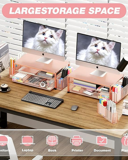 OPNICE Desk Organizers and Accessories, 2-Tier Computer Monitor Stand with Drawer and 2 Pen Holders, Laptop Stand, Office Desk Accessories for Office Supplies, Rose Gold
