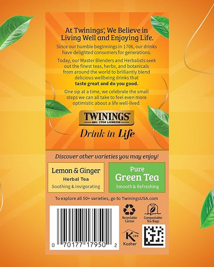 Twinings Orange & Cinnamon Spice Herbal Tea Individually Wrapped Bags, 20 Count (Pack of 6), Naturally Caffeine-Free, Enjoy Hot or Iced, 120 Teabags