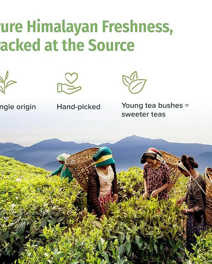 NEPAL TEA Organic Green Tea Bags from the Himalayas - 15 Pyramid Tea Bags, Single Origin from a Family Farm - Green Tea Bags with Loose Leaf Tea Inside (Himalayan Mist)