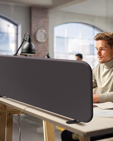 DECOLAB Desk Divider, Portable Desktop Privacy Panels Partition for Study, Home Office, Workplace, Students, Free Standing, Anti-Scratch, 48"x18", Iron