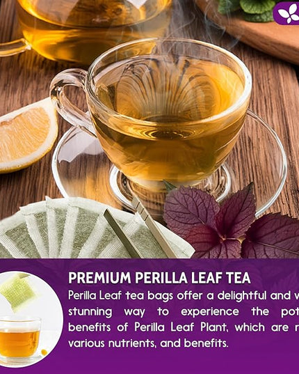 FreshDrinkUS, Premium Perilla Leaf Tea – 75 Tea Bags | 100% Pure Perilla Leaves | Caffeine-Free, Non-GMO, Natural Packaging | Herbal Tea Bags for Daily Enjoyment. Gluten-Free. Sugar-Free. Vegan