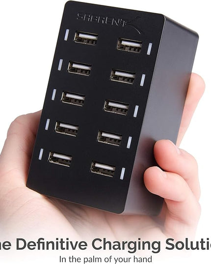 Sabrent 60 Watt (12 Amp) 10-Port [UL Certified] Family-Sized Desktop USB Rapid Charger. Smart USB Ports with Auto Detect Technology [Black] (AX-TPCS)