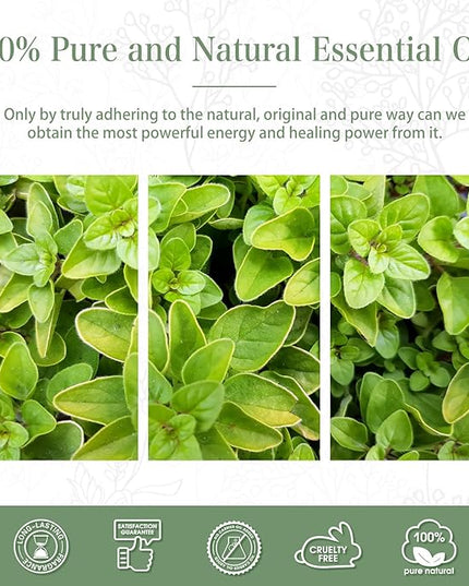 Oregano 1.01fl.oz Essential Oil, PHATOIL Pure Aromatherapy Oils for Diffuser, Humidifier, Perfect for DIY Soap, Candle, Bath Bombs Making(30ml)