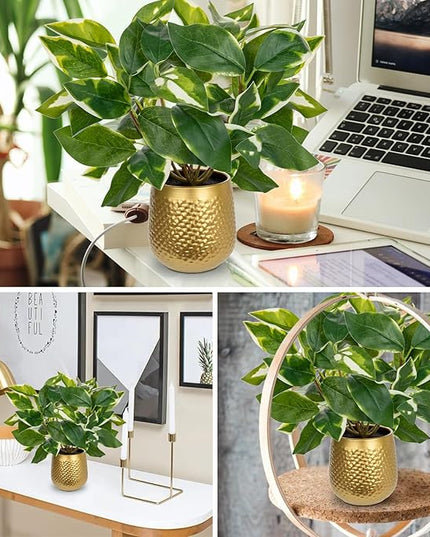 Oairse Articicial Plants Indoor Small Fake Plants in Pots Faux Pothos N‘ Joy Potted Plant Fake Indoor Plants with Gold Pots for Bathroom Living Room Office Desk Shelves