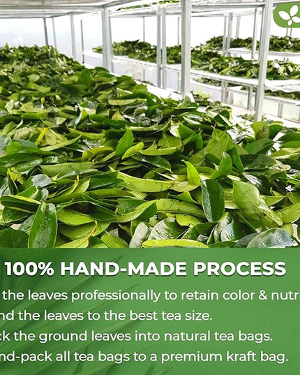 FreshDrinkUS, 150 Premium Soursop Graviola Leaf Tea Bags, 100% Natural and Pure, Hand-made, Made With Natural Materials-Corn Fiber Tea Bag, Sugar/Caffeine/Gluten Free, Hoja Guanabana Tea