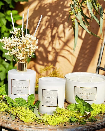 Cocorrína Premium Reed Diffuser Set with Preserved Baby's Breath & Cotton Stick Coconut Lime | 6.7oz Scent Fragrance Oil Diffuser for Bedroom Bathroom Home Décor