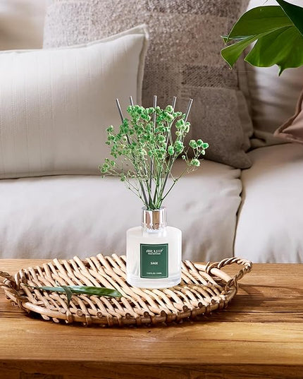Airkeep Reed Diffuser Set, 3.38 fl oz (100 ml) - Sage Lemon Oil Diffusers with 8 Reed Sticks, Home Fragrance Reed Diffuser for Bathroom Shelf Decor